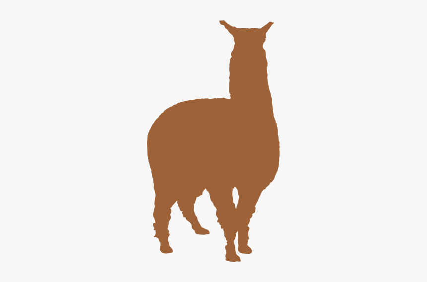 Llama Guanaco Alpaca Silhouette - Machu Picchu Llama Png, Transparent Png, Free Download