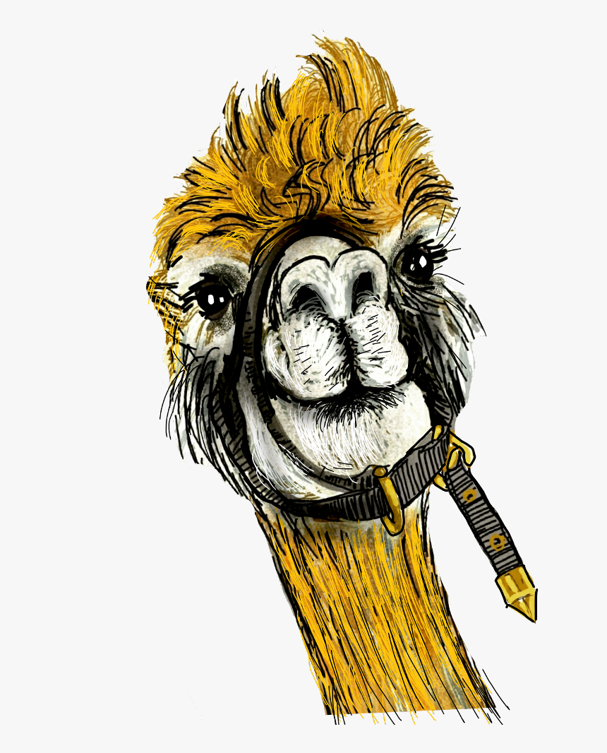 Transparent Llama Head Png - Cartoon, Png Download, Free Download