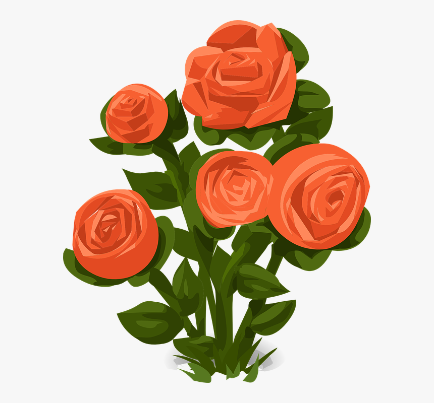 Rose Bush, Roses, Orange, Flowers, Rose, Garden, Floral - Rose Bush Image Cartoon, HD Png Download, Free Download