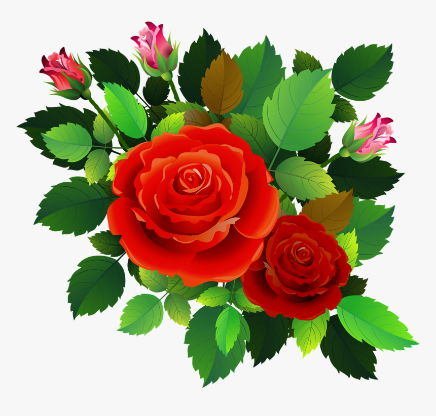 Roses Flowers Floral Romantic Rose Bush Bouquet - Garden Roses, HD Png Download, Free Download