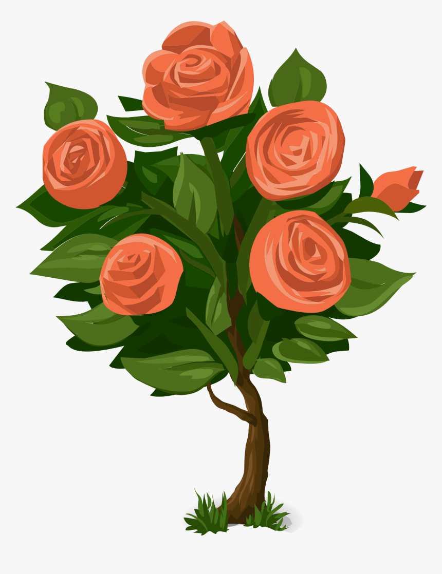 Rose Bush Clipart Plan - Rose Plant Clip Art, HD Png Download, Free Download