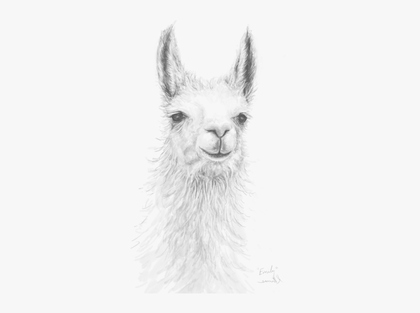 Llama Art, HD Png Download, Free Download