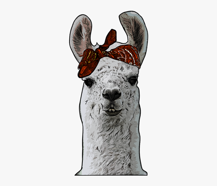 Bandana Llama, HD Png Download, Free Download