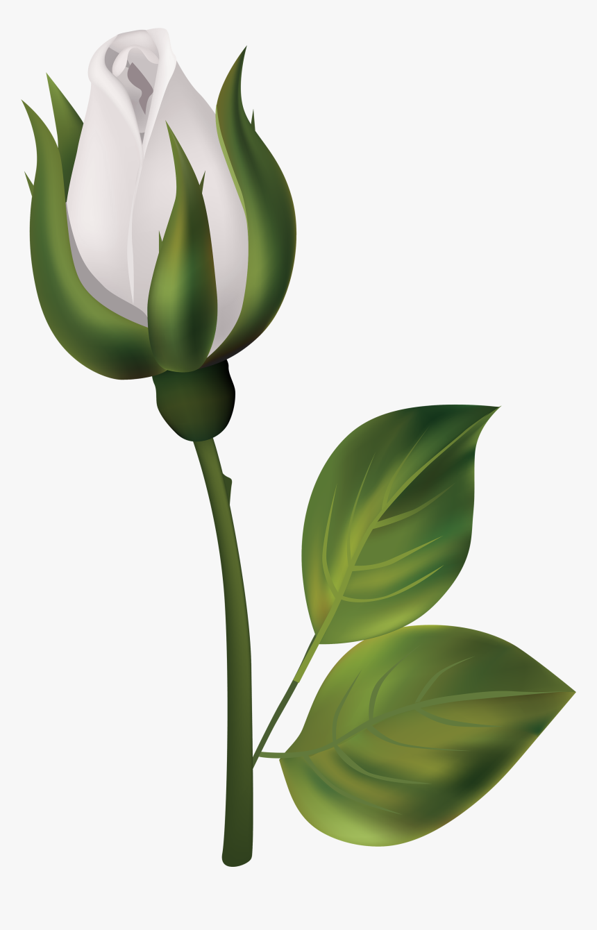 Rose Bush Clipart File - Flower Bud Clip Art, HD Png Download, Free Download