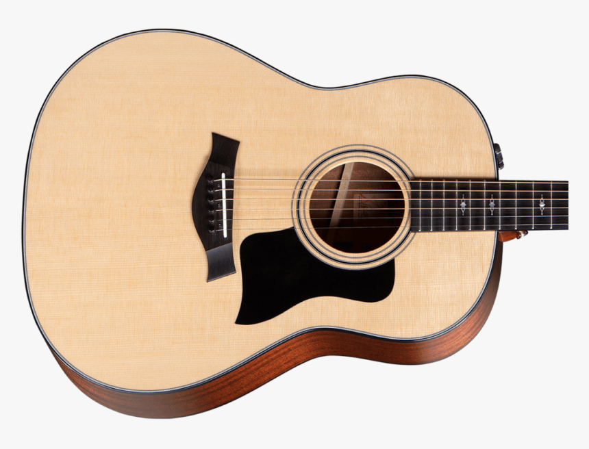 Taylor 317 Front Crop, HD Png Download, Free Download