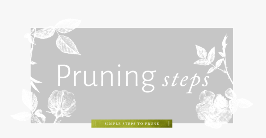 Pruning - Graphic Design, HD Png Download, Free Download