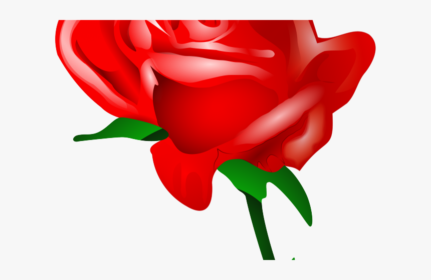 Transparent Clipart Of Roses - Rose Love Photo Download, HD Png Download, Free Download