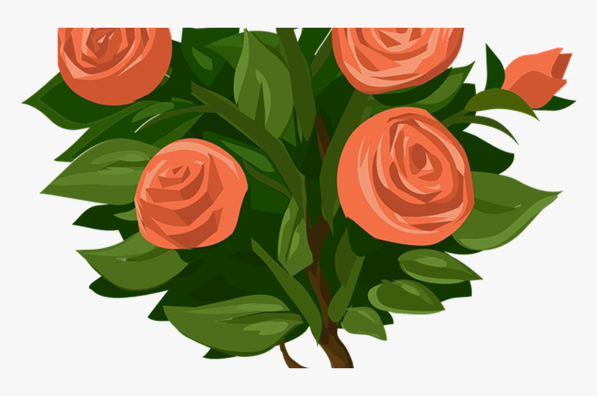 Transparent Shrubs Png - Transparent Rose Plant Clipart, Png Download, Free Download