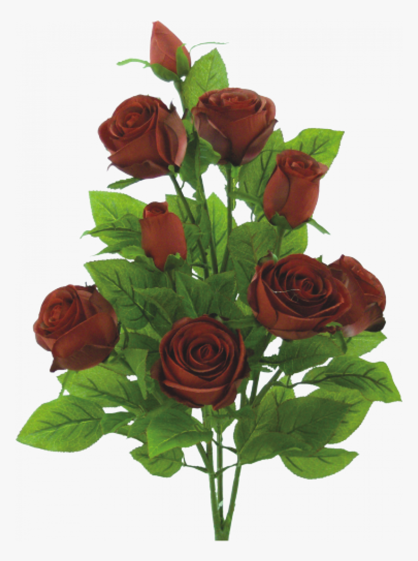 Emily Rose Bush X 9 H25 Brick"
 Title="emily Rose Bush - Garden Roses, HD Png Download, Free Download