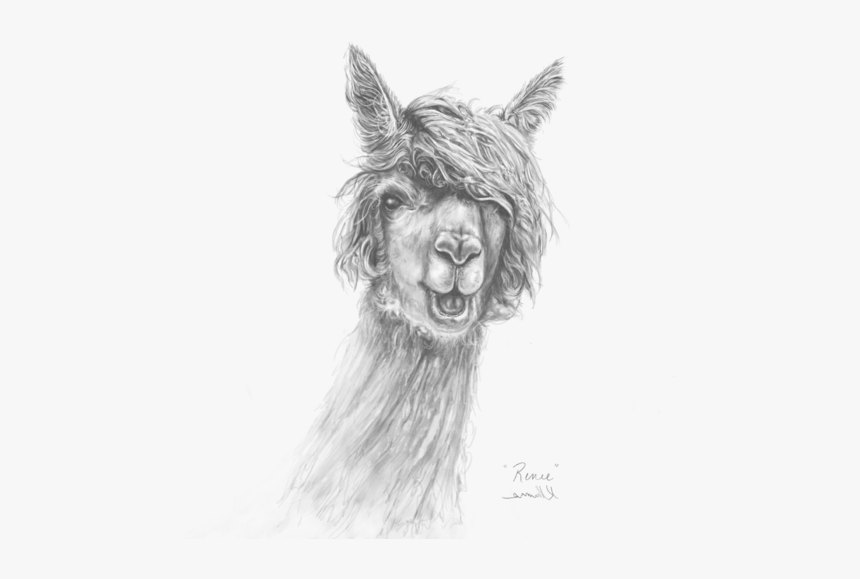 Sketch, HD Png Download, Free Download