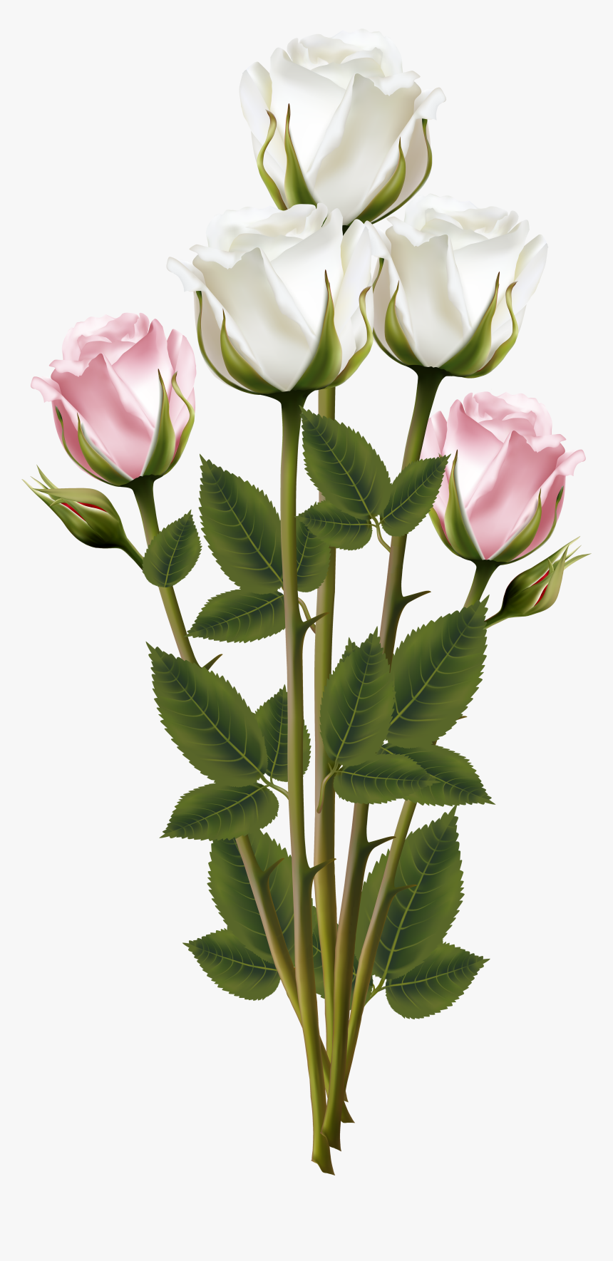 White And Pink Rose Bouquet Transparent Png Clip Art - Flower Bouquet Png, Png Download, Free Download