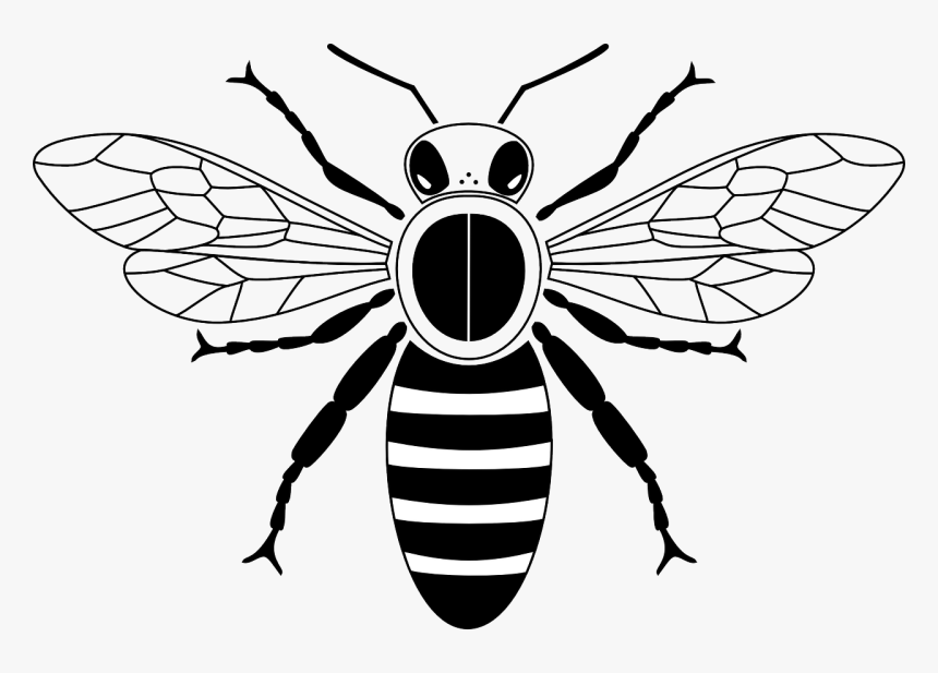Honeybee Black And White, HD Png Download, Free Download