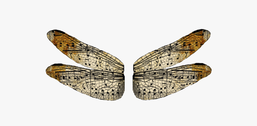 Vintage Wings Png - Dragonfly, Transparent Png, Free Download