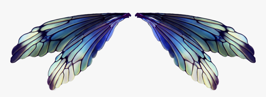 Transparent Fairy Wings Png Png Download Kindpng Transparent Fairy Wings Png Png Download Kindpng