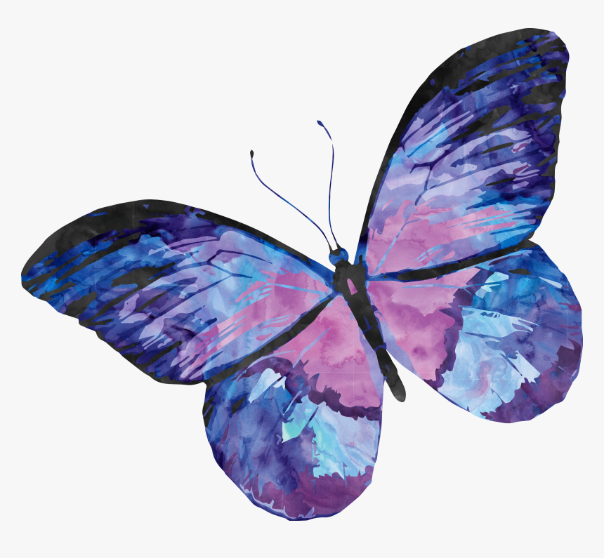 Purple Butterfly Watercolor Png, Transparent Png, Free Download