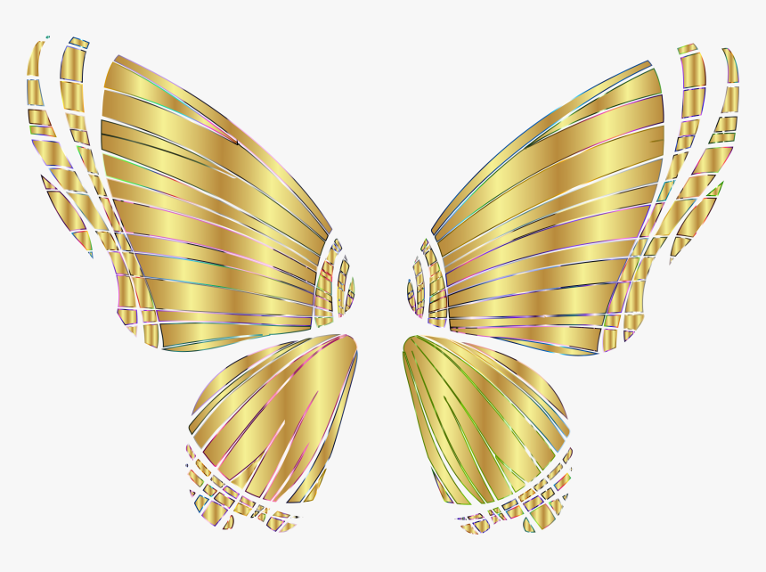 Rgb Butterfly Silhouette 10 12 No Background Clip Arts - Butterfly Wings Transparent Background Png, Png Download, Free Download