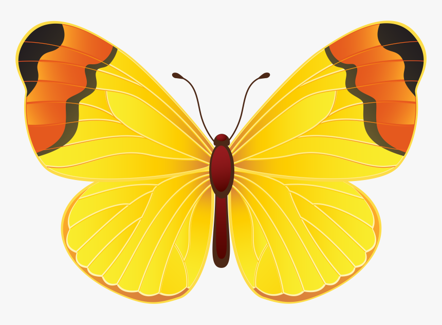 Yellow Butterfly Png Clip Art Transparent Image - Clipart Yellow Butterfly, Png Download, Free Download