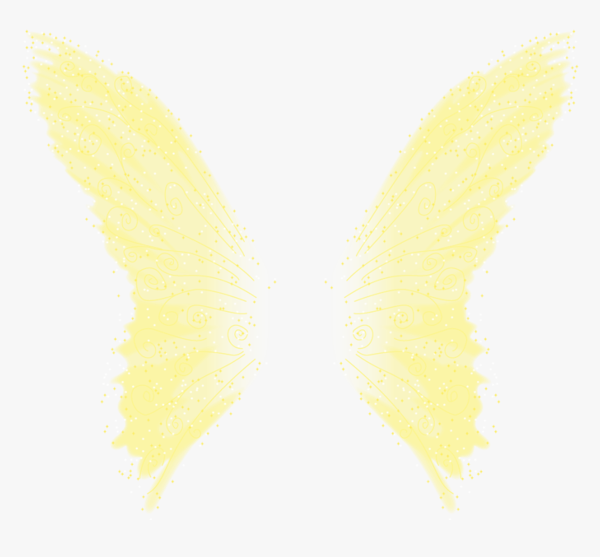 Clarion’s Wings
set On A Black Background Under Read - Fairy Wings On Black Background, HD Png Download, Free Download