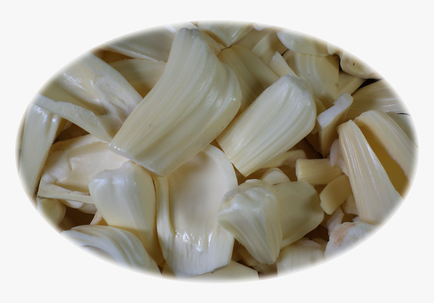 Elephant Garlic, HD Png Download, Free Download