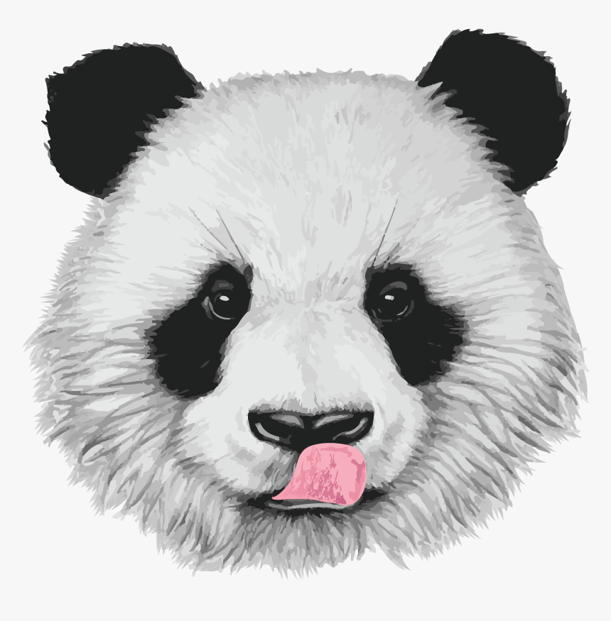 Www - Bamboolovers - Com - Realistic Baby Panda Drawings - Realistic Panda Face Drawing, HD Png Download, Free Download