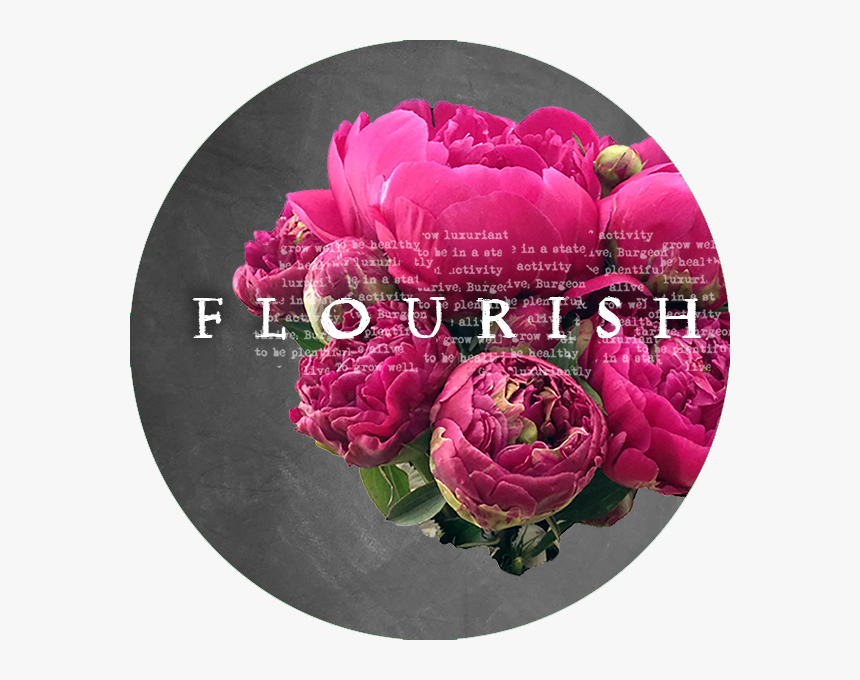 Flourish Night, HD Png Download, Free Download