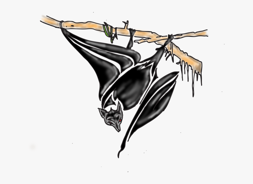 Bat Tattoos Design - Illustration, HD Png Download, Free Download