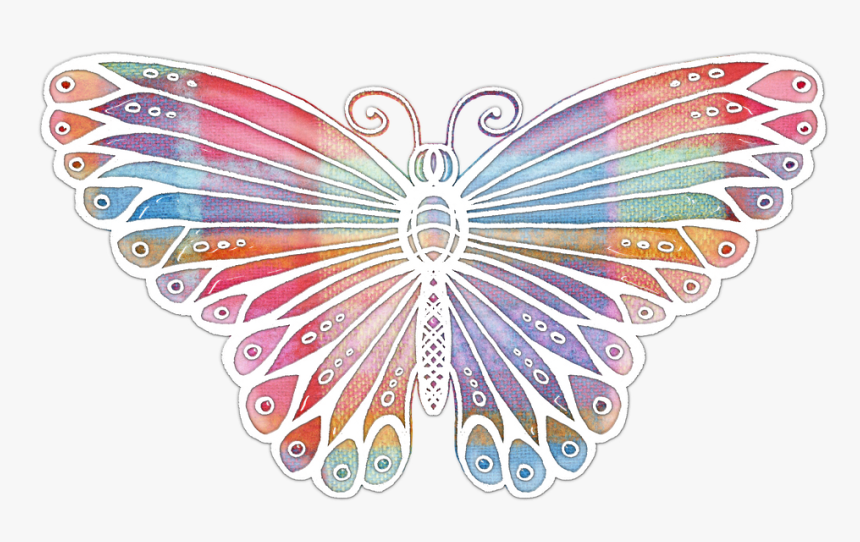 Butterfly, Colorful, Flight, Fly, Flying, Insect - Transfotrmation To A New Life, HD Png Download, Free Download