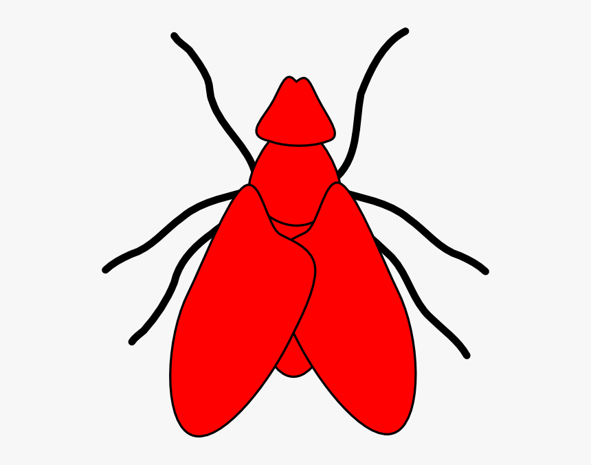Fly Clipart Flying Fly - Fly Clip Art, HD Png Download, Free Download