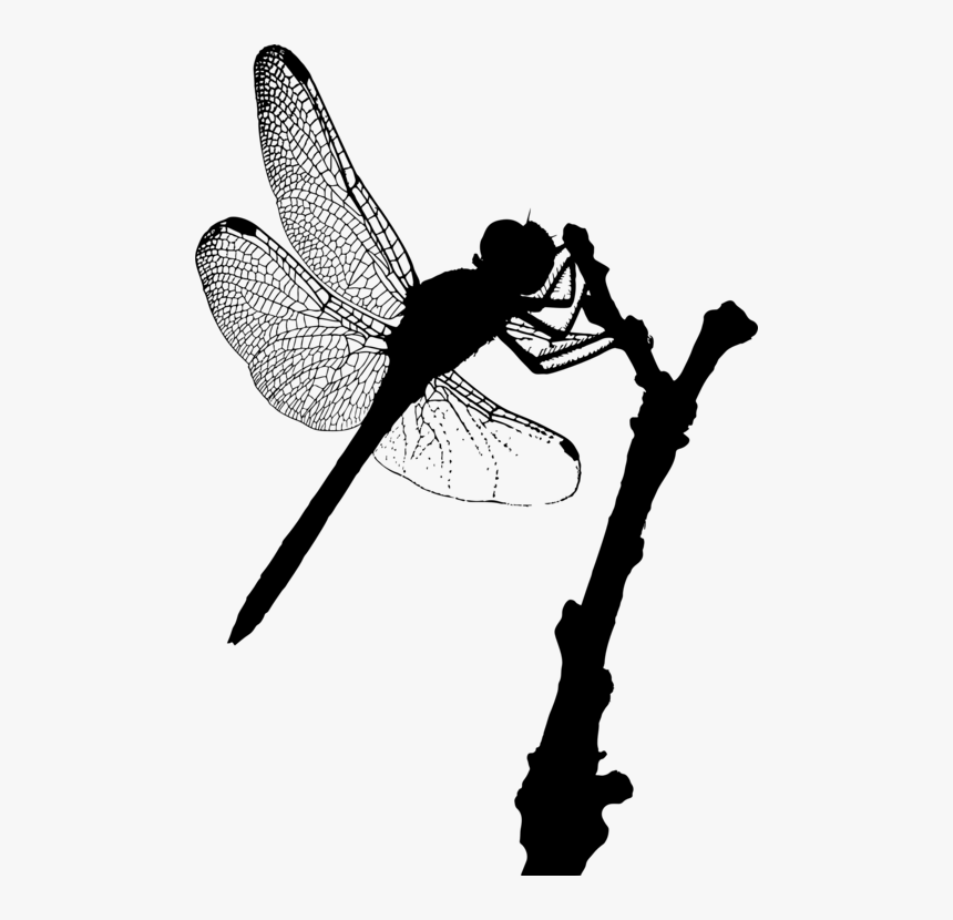 Fly,dragonfly,silhouette - Flying Dragonfly Silhouette, HD Png Download, Free Download