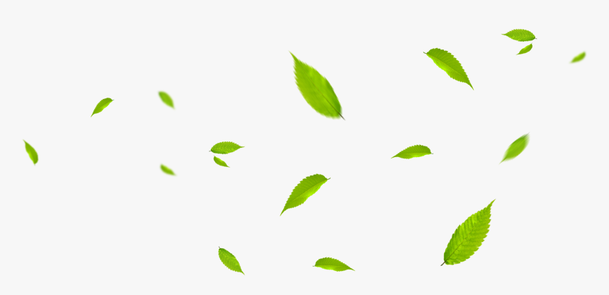 Green Leaves Fly With The Wind Png Download - Green Leaves Falling Png, Transparent Png, Free Download