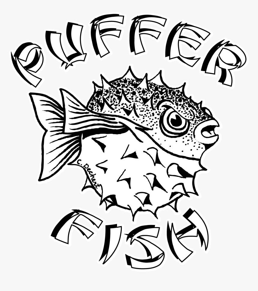 Puffer Fish - Pufferfish Drawings, HD Png Download, Free Download