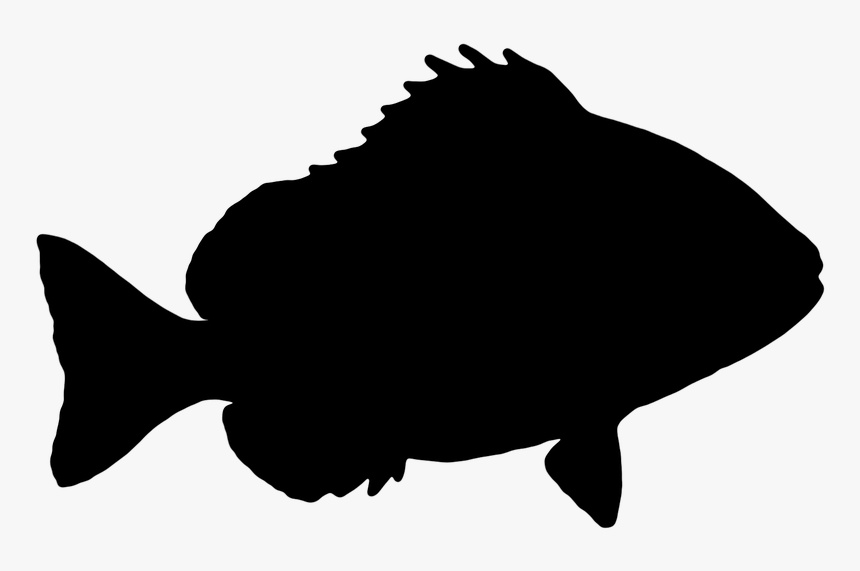 Goldfish Clipart Puffer Fish - Farm Animal Head Silhouette, HD Png Download, Free Download
