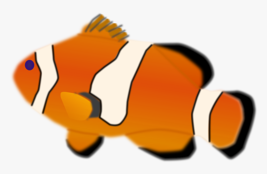 Clownfish Clipart Tropical Fish - Tropical Fish Transparent Background, HD Png Download, Free Download