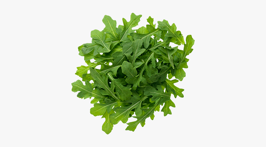 Download Arugula Png Image - Arugula Png, Transparent Png, Free Download