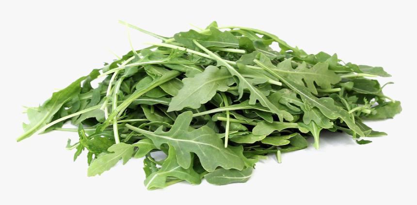 Arugula Png, Transparent Png, Free Download