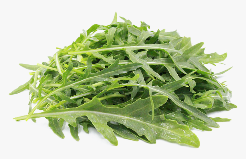 Arugula Png Picture - Wild Arugula, Transparent Png, Free Download