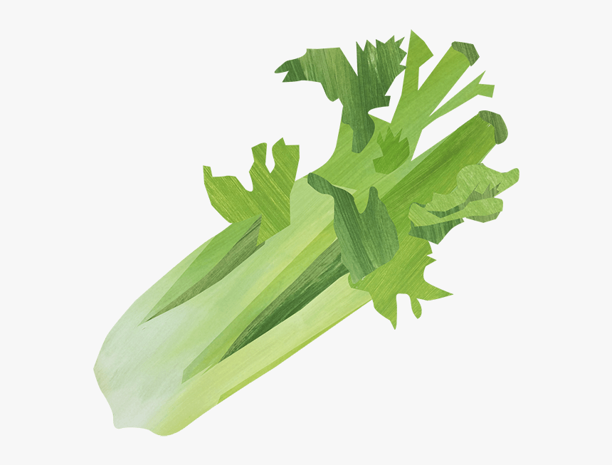 Transparent Arugula Png - Transparent Png Celery Stalk, Png Download, Free Download