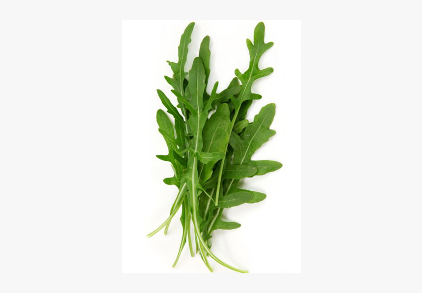 Rocket Leaves Png, Transparent Png, Free Download