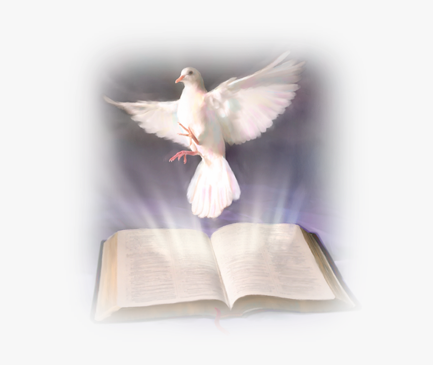 Confirmacion Paloma Png - Word Of God And The Holy Spirit, Transparent Png, Free Download