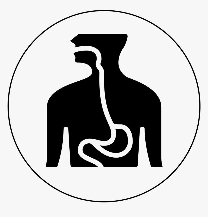 Icon Esophagus Black-01 - Esophagus Clipart Black And White, HD Png Download, Free Download