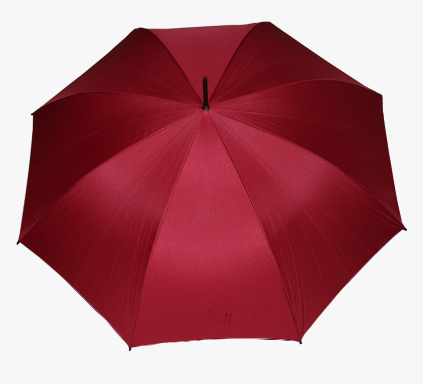 Umbrella, HD Png Download, Free Download