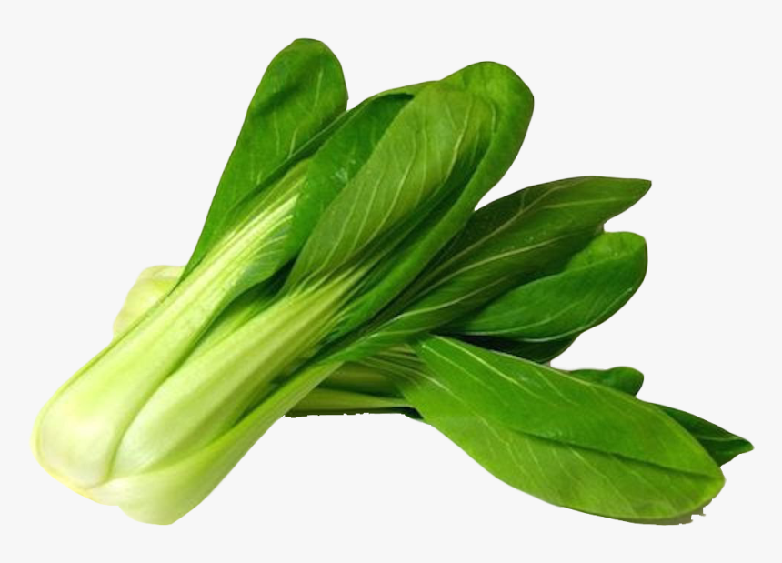 Bok Choy Png, Transparent Png, Free Download