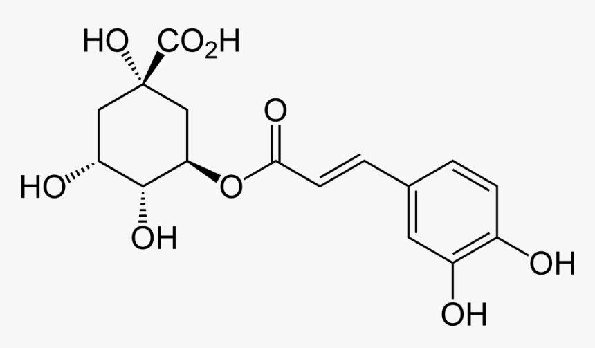 5 O Caffeoylshikimic Acid, HD Png Download, Free Download