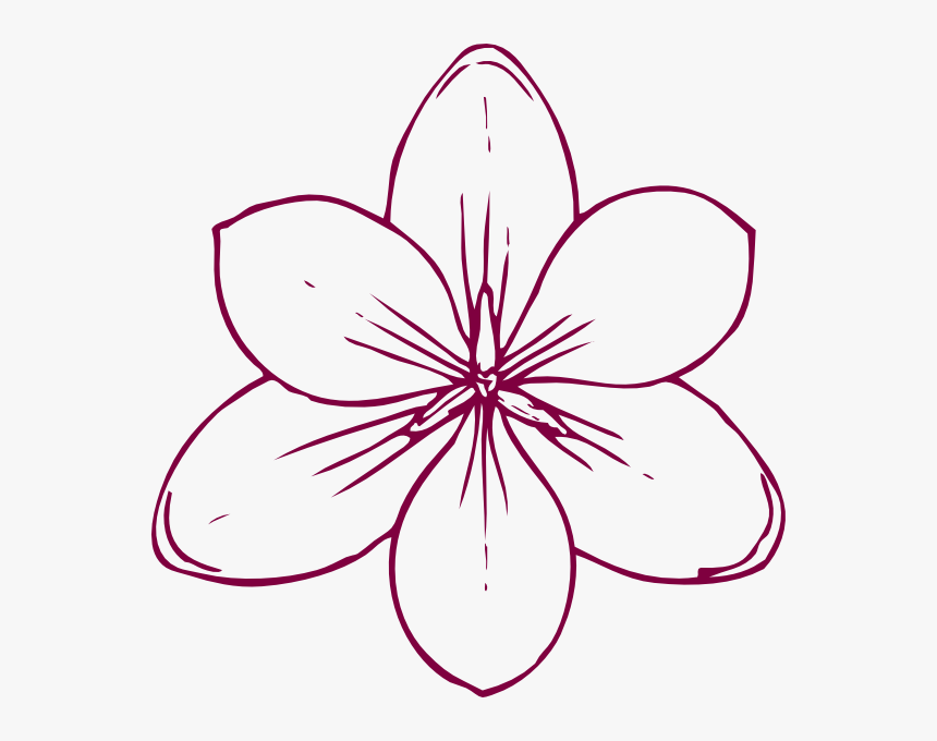 Flower Coloring Page Png, Transparent Png, Free Download