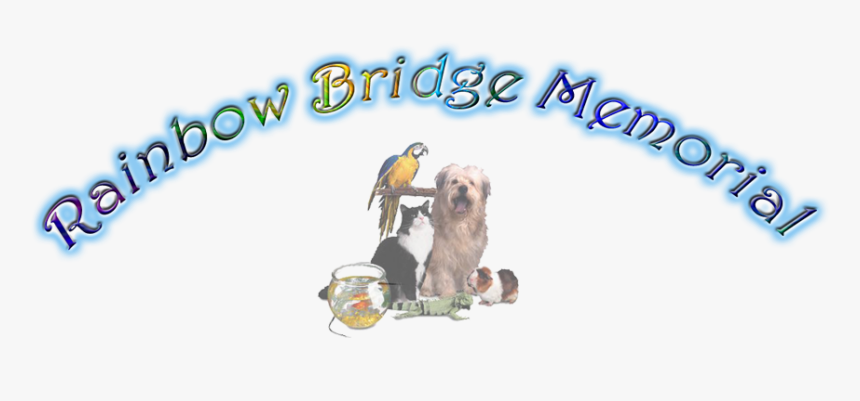 Rainbow Bridge Dog Angel Png, Transparent Png, Free Download