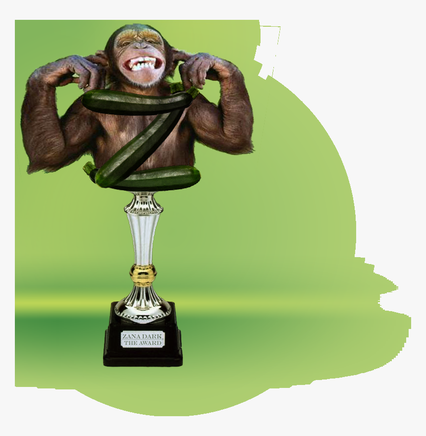 Zdawardbg - Monkey With Hands On Ears, HD Png Download, Free Download