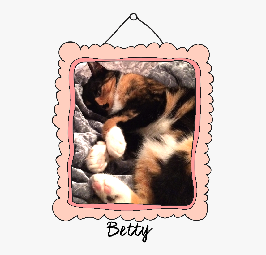 Betty Crossed The Rainbow Bridge On March 30, - Avon Justine, HD Png Download, Free Download