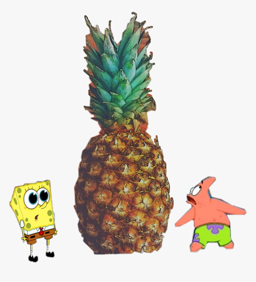 Transparent Spongebob Pineapple Png - Ananas Spongebob Patrick, Png Download, Free Download