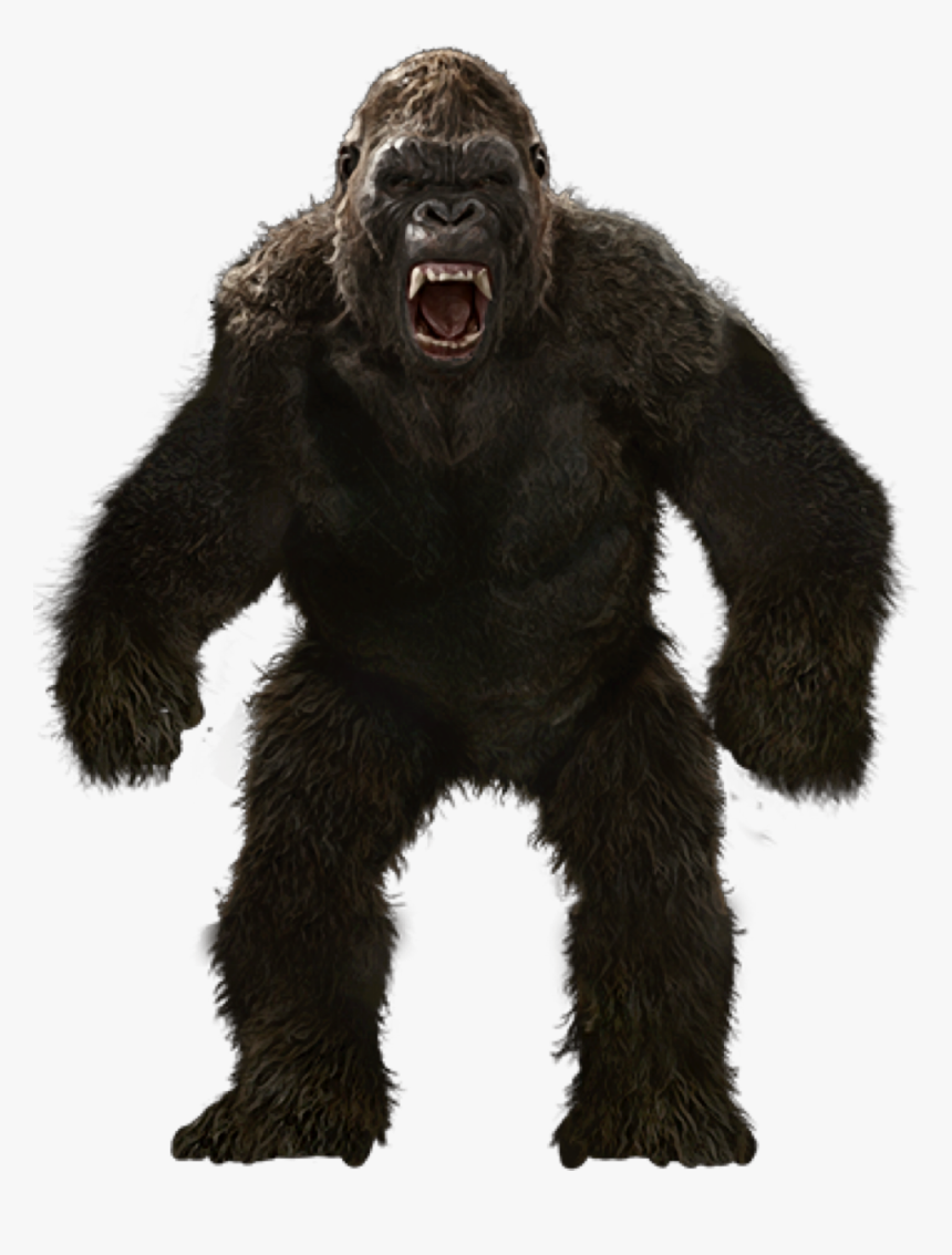 Free Render For Use - Kong Skull Island Transparent, HD Png Download, Free Download