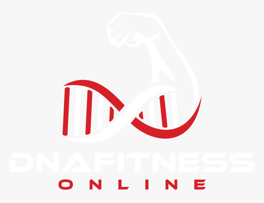 Dna Fitness Online - Sri Venkata Ramana Travels, HD Png Download, Free Download